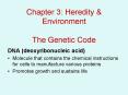 Chapter 3: Heredity PowerPoint PPT Presentation