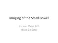 Imaging of the Small Bowel PowerPoint PPT Presentation
