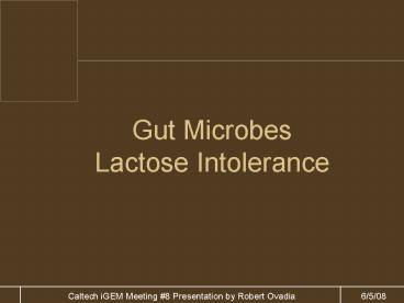 Gut Microbes Lactose Intolerance