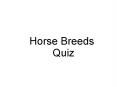 Horse Breeds Quiz PowerPoint PPT Presentation