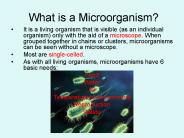What is a Microorganism?