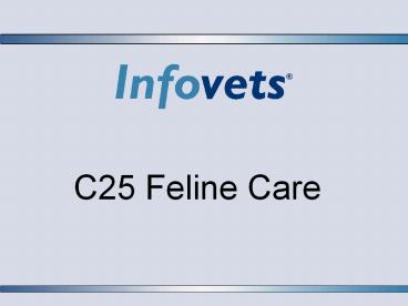 C25 Feline Care