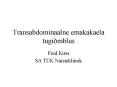 Transabdominaalne emakakaela tugi PowerPoint PPT Presentation