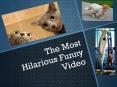 The Most Hilarious Funny Video PowerPoint PPT Presentation