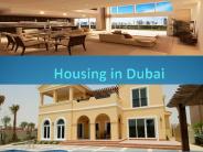 Housing in Dubai (1)