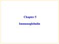 Chapter 5 Immunoglobulin PowerPoint PPT Presentation