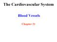 Blood Vessels PowerPoint PPT Presentation