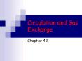 Circulation and Gas Exchange PowerPoint PPT Presentation
