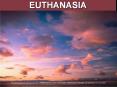 EUTHANASIA PowerPoint PPT Presentation