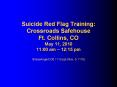 Suicide Red Flag Training: Crossroads Safehouse Ft. Collins, CO May 11, 2010 11:00 am  PowerPoint PPT Presentation