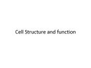 Cell Structure and function