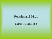 Reptiles and Birds