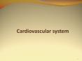 Cardiovascular system PowerPoint PPT Presentation