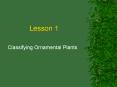 Classifying Ornamental Plants PowerPoint PPT Presentation