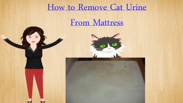 How to Remove Cat Urine From Mattress