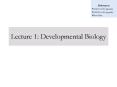 Lecture 1: Developmental Biology PowerPoint PPT Presentation