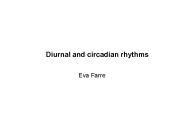 Diurnal and circadian rhythms