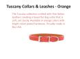 Dog Collars and Leashes (1) PowerPoint PPT Presentation