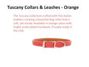 Dog Collars and Leashes (1)