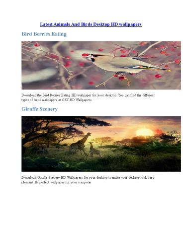 Latest Animals And Birds Desktop HD Wallpapers