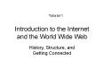 Introduction to the Internet and the World Wide Web PowerPoint PPT Presentation