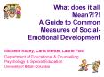 What does it all Mean?!?! A Guide to Common Measures of Social-Emotional Development PowerPoint PPT Presentation