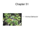 ~Animal Behavior