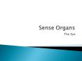 Sense Organs PowerPoint PPT Presentation