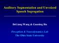 Auditory Segmentation and Unvoiced Speech Segregation PowerPoint PPT Presentation