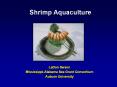 Shrimp Aquaculture PowerPoint PPT Presentation