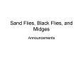 Sand Flies, Black Flies, and Midges PowerPoint PPT Presentation