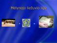 Melynojo lie PowerPoint PPT Presentation