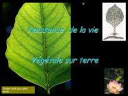 Naissance de la vie