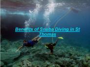 Benefits of Snuba Diving in St Thomas