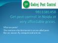 Pest control in Noida offered by Godreg pest control at very affordable prices