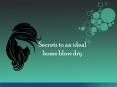 Secrets to an Ideal Home Blow Dry PowerPoint PPT Presentation
