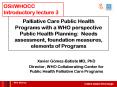 Palliative Care Public Health Programs with a WHO perspective Public Health Planning: Needs assessment, foundation measures, elements of Programs PowerPoint PPT Presentation
