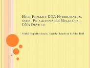 High-Fidelity DNA Hybridization using Programmable Molecular DNA Devices