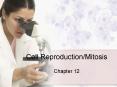 Cell Reproduction/Mitosis PowerPoint PPT Presentation