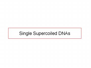 Single Supercoiled DNAs