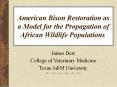 American Bison Restoration as a Model for the Propagation of African Wildlife Populations PowerPoint PPT Presentation