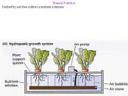 Bio 226: Cell and Molecular Biology