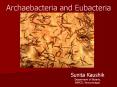 Archaebacteria and Eubacteria PowerPoint PPT Presentation