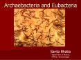 Archaebacteria and Eubacteria PowerPoint PPT Presentation