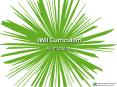 IWII Curriculum PowerPoint PPT Presentation