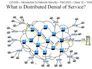 What is Distributed Denial of Service?