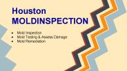 Houston MOLDINSPECTION