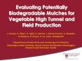 Evaluating Potentially Biodegradable Mulches for Vegetable High Tunnel and Field Production PowerPoint PPT Presentation