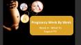 3 Weeks Pregnant - What To Expect - Week By Week Pregnancy Guide PowerPoint PPT Presentation