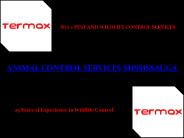 Animal control services mississauga